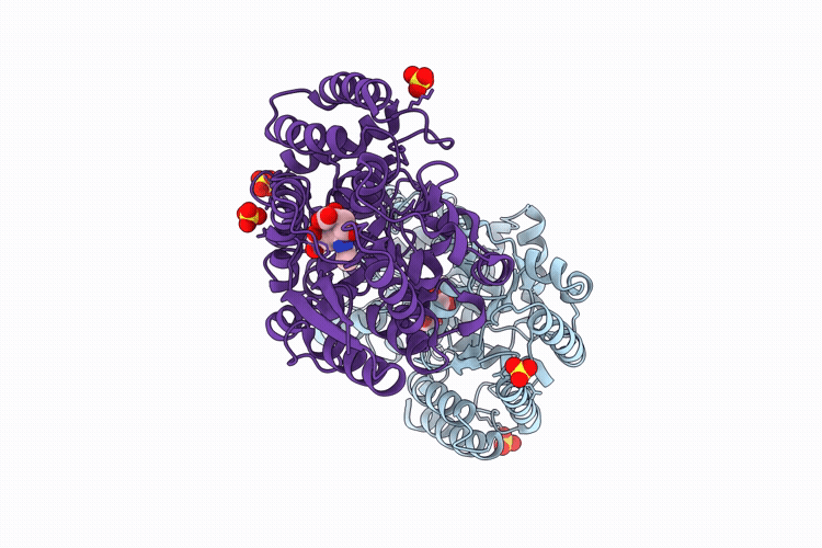 9RSL image