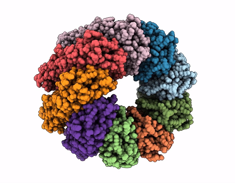 9RSM image