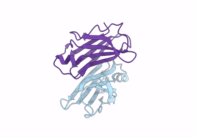 9RSP image