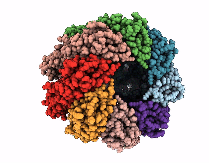 9RSU image
