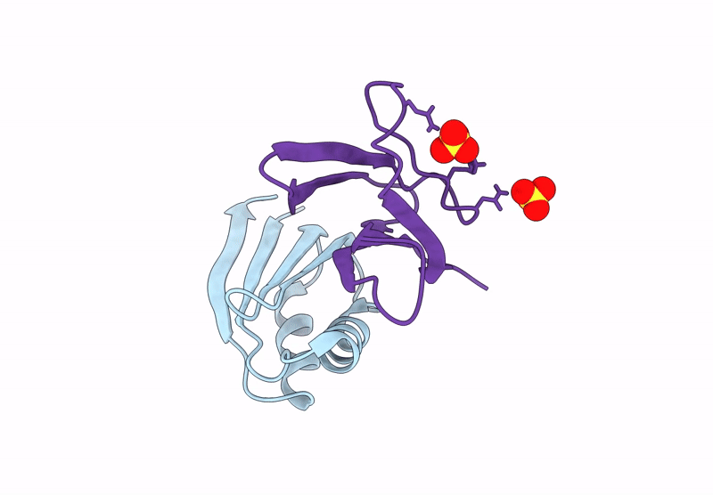 9RSV image