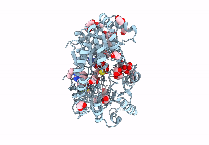 9RTI image