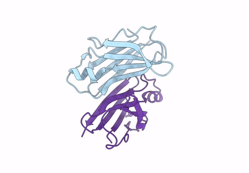 9RTO image