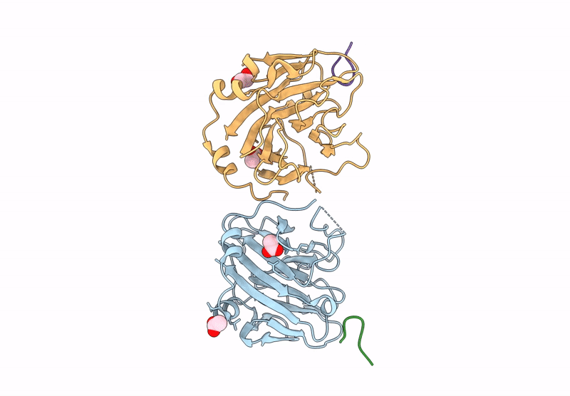 9RV5 image