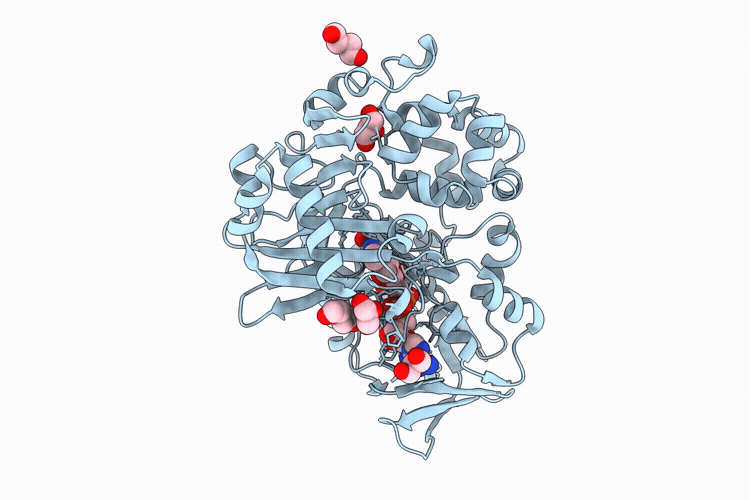 9RVH image