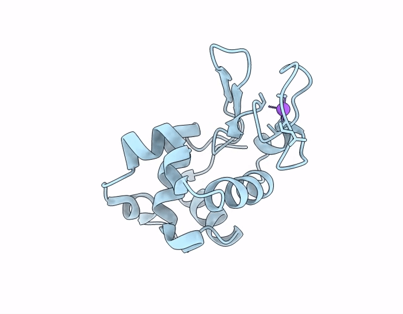 9RVI image