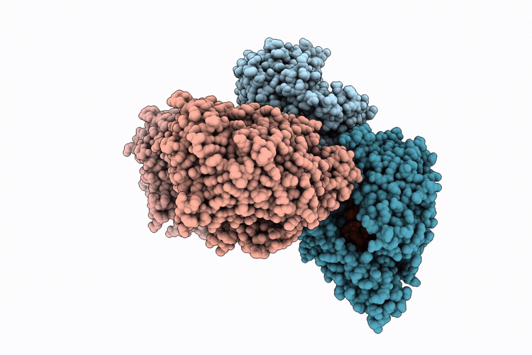 9RVT image