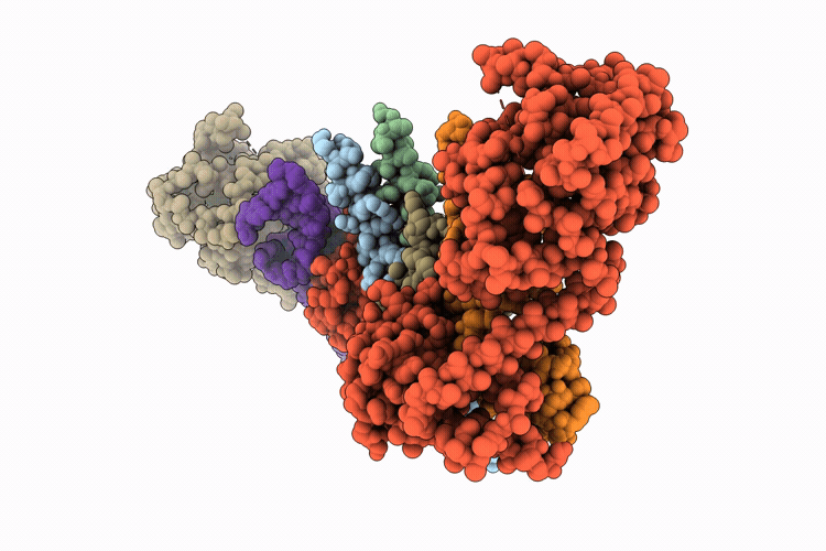 9RW2 image