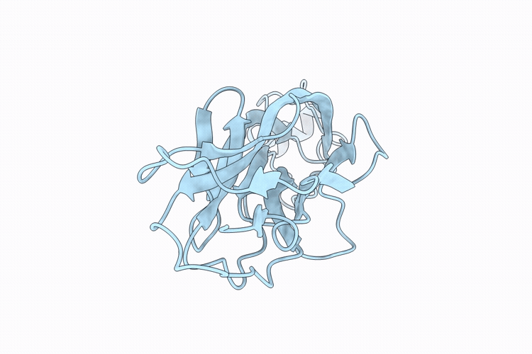 9RWW image