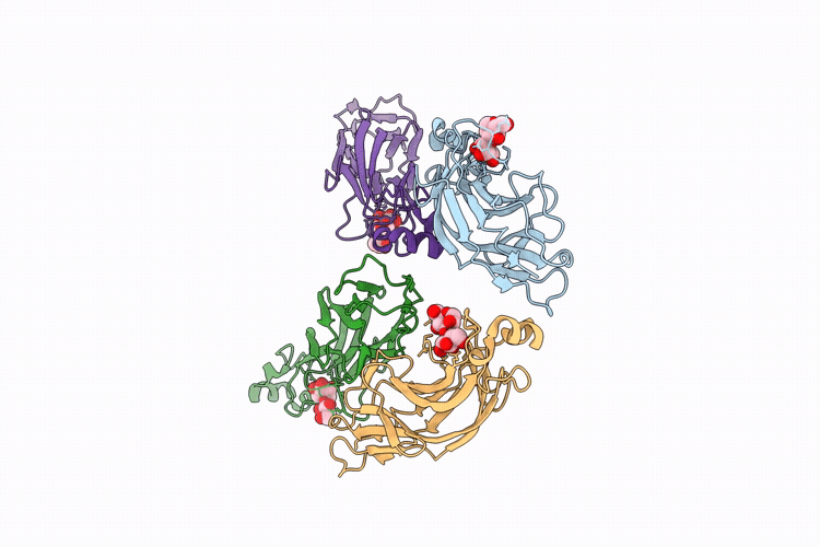 9RX0 image