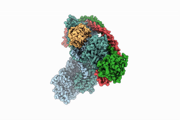 9RX4 image