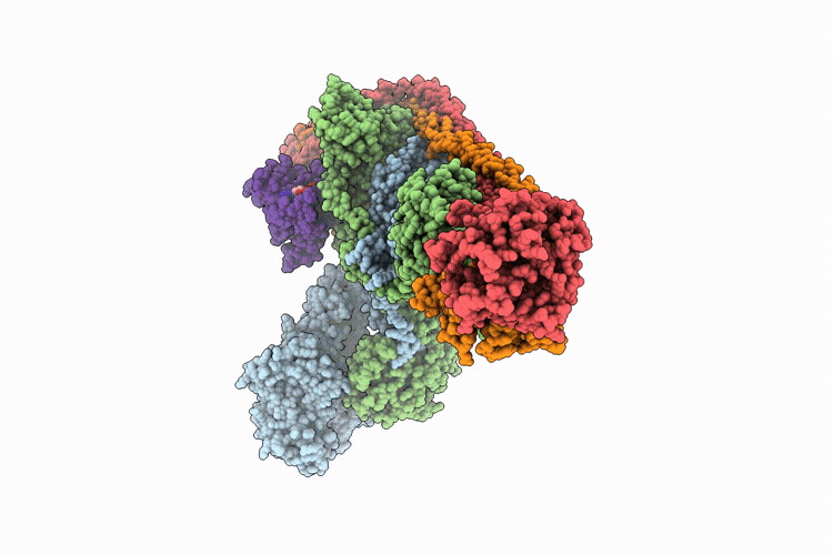 9RXA image