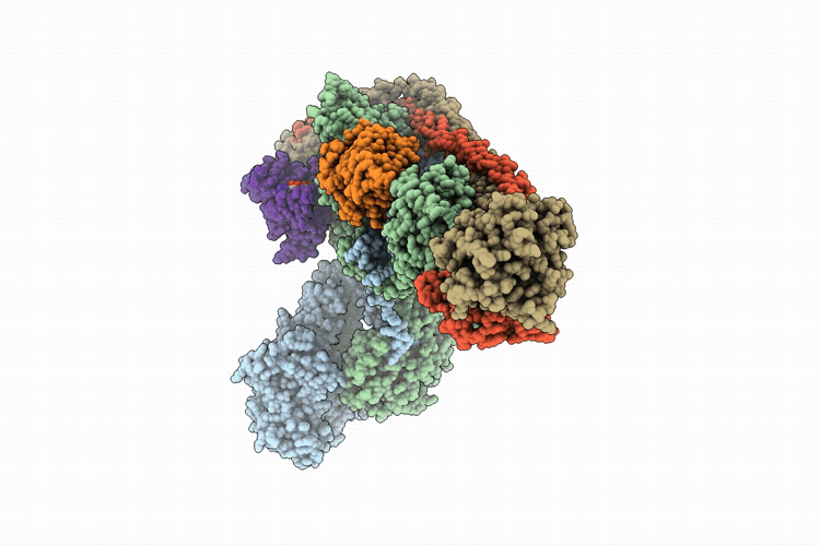 9RXB image