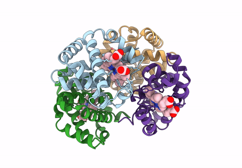 9RXG image