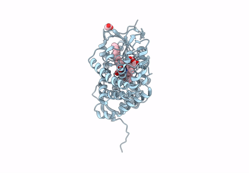 9RXH image