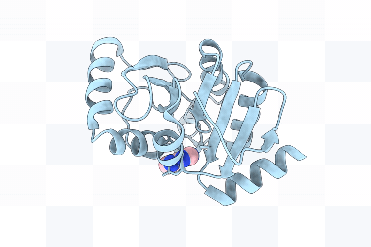 9RXJ image