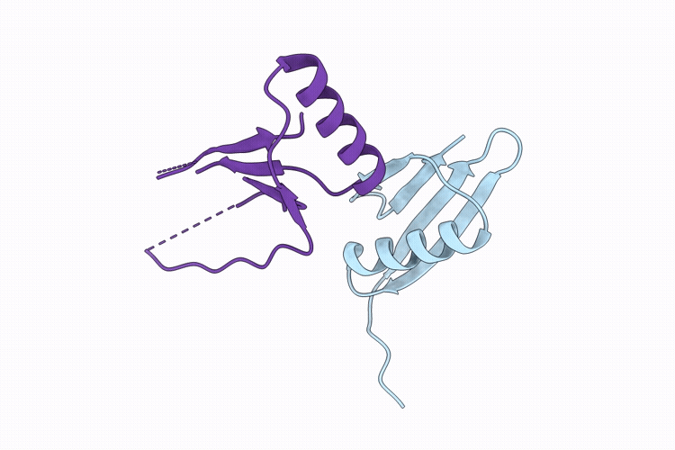 9RXK image