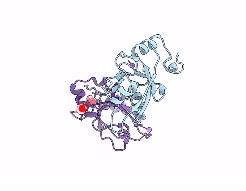 9RXN image