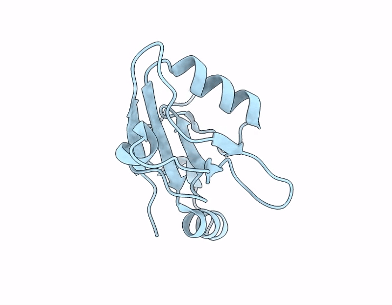 9RXR image