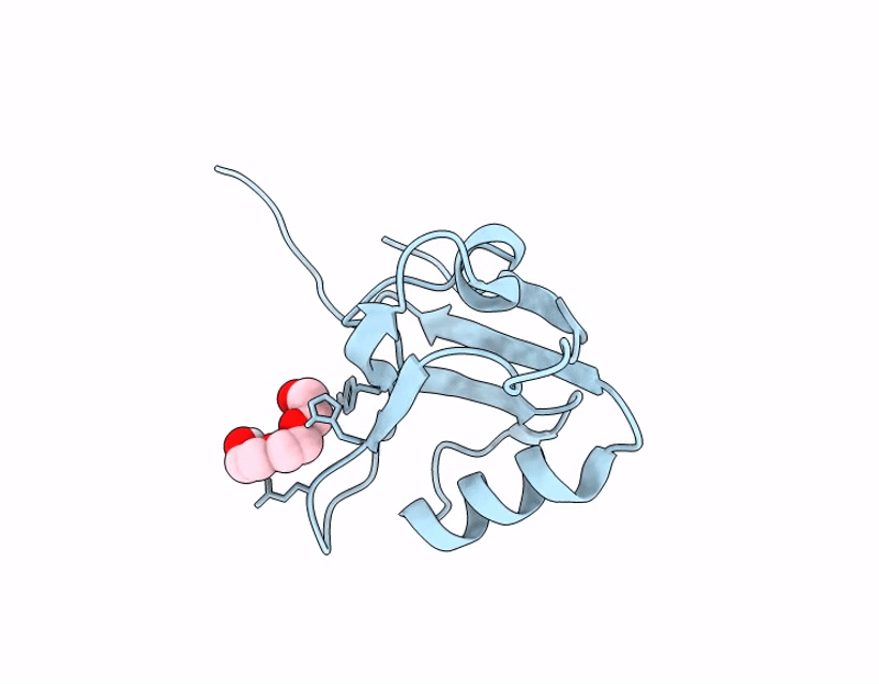 9RXT image