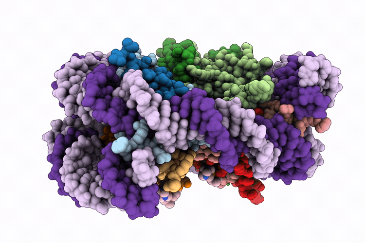 9RXU image
