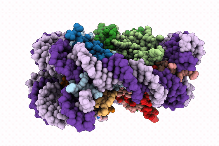 9RXV image