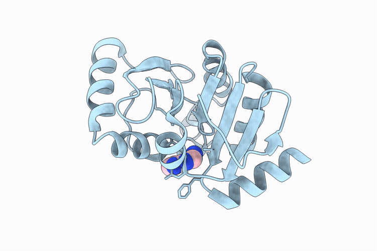 9RY6 image