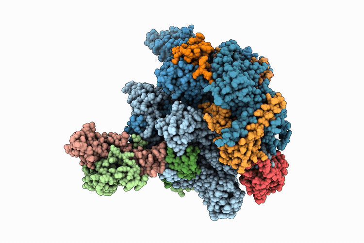 9RYB image