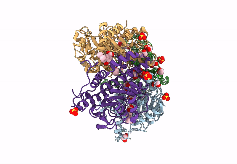 9RYG image