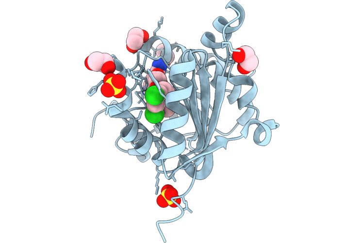 9RYL image