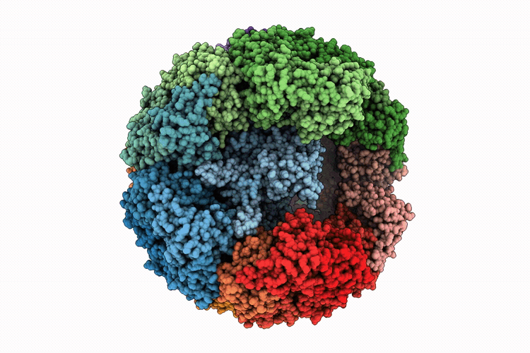 9RYM image