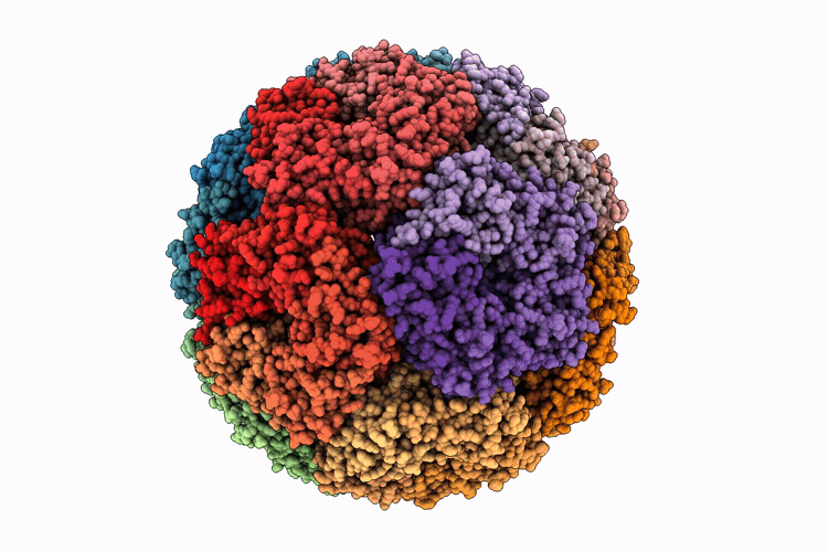 9RYV image
