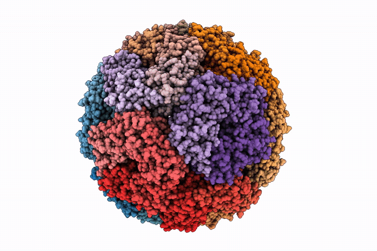 9RYX image