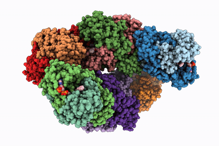 9RYZ image