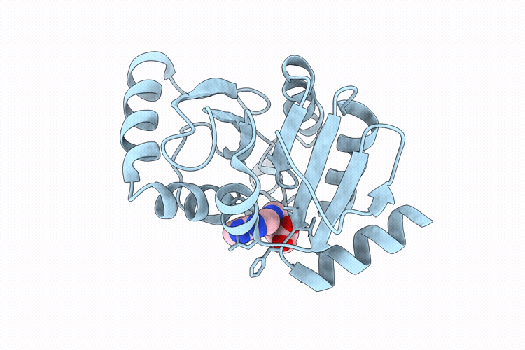 9RZB image