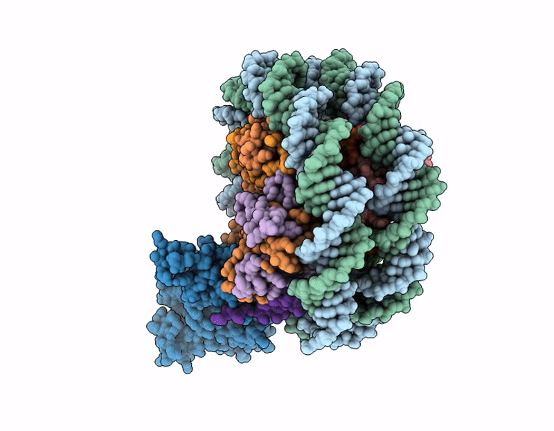 9RZC image