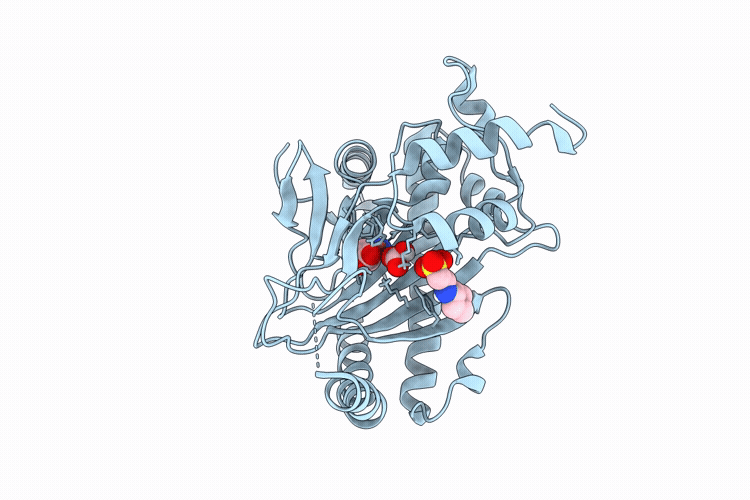 9RZH image