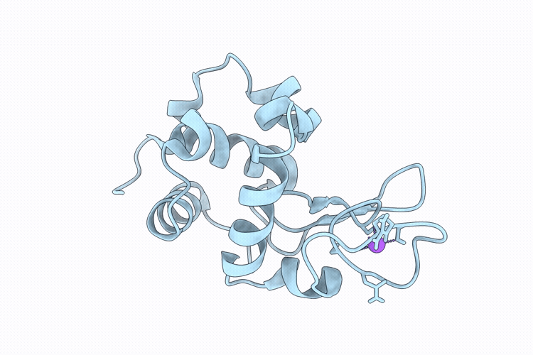 9RZL image