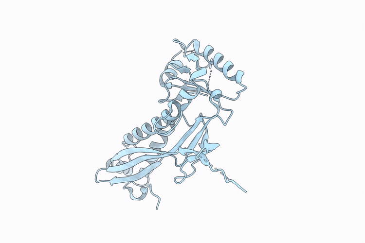 9RZM image