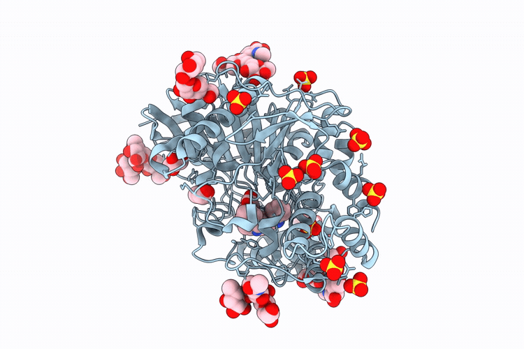 9RZP image