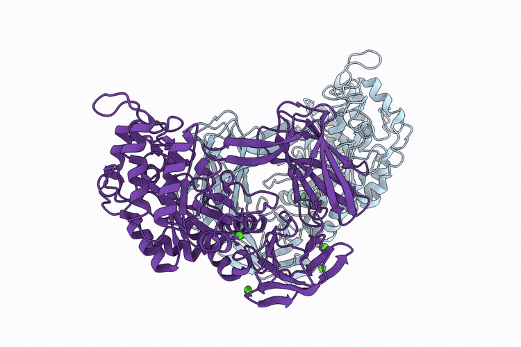9RZX image