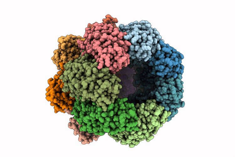 9S34 image