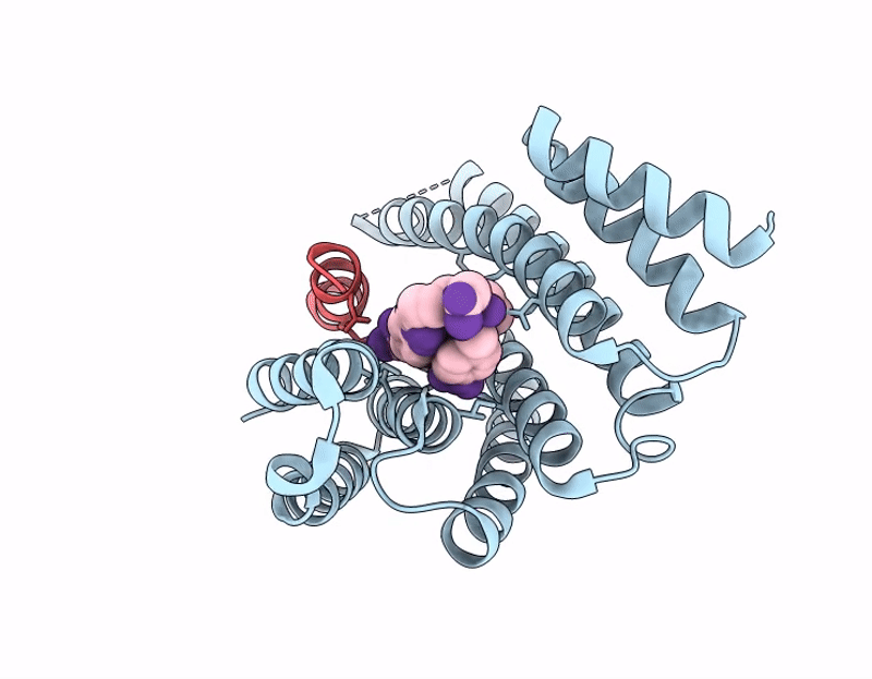 9SAC image