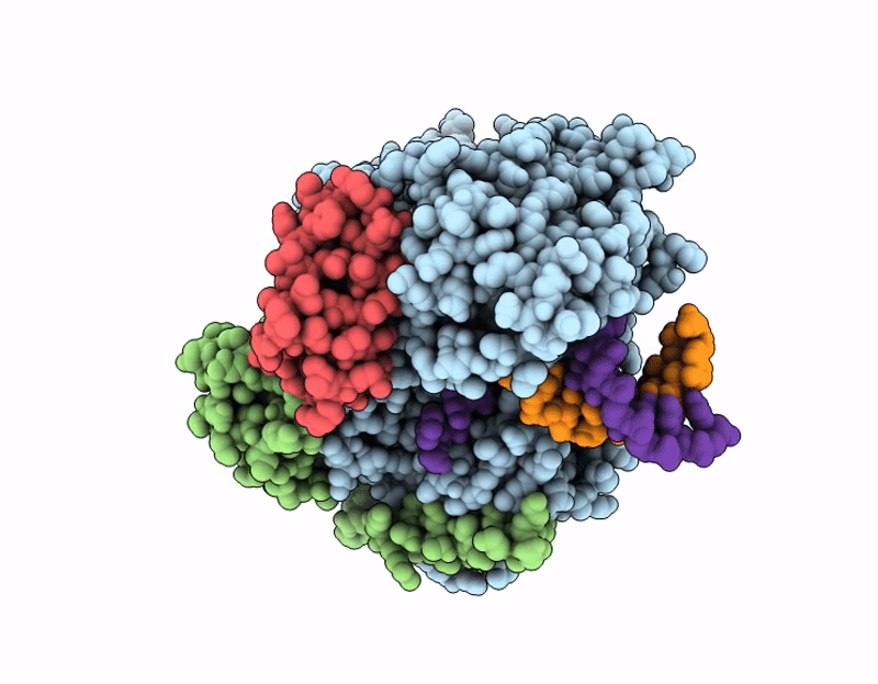 9SAP image