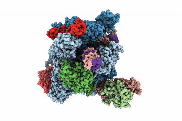 9SC0 image
