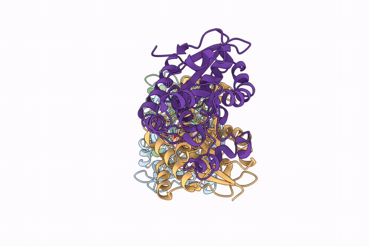 9SD1 image