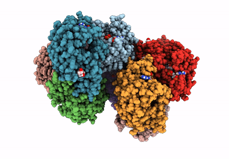 9SD3 image