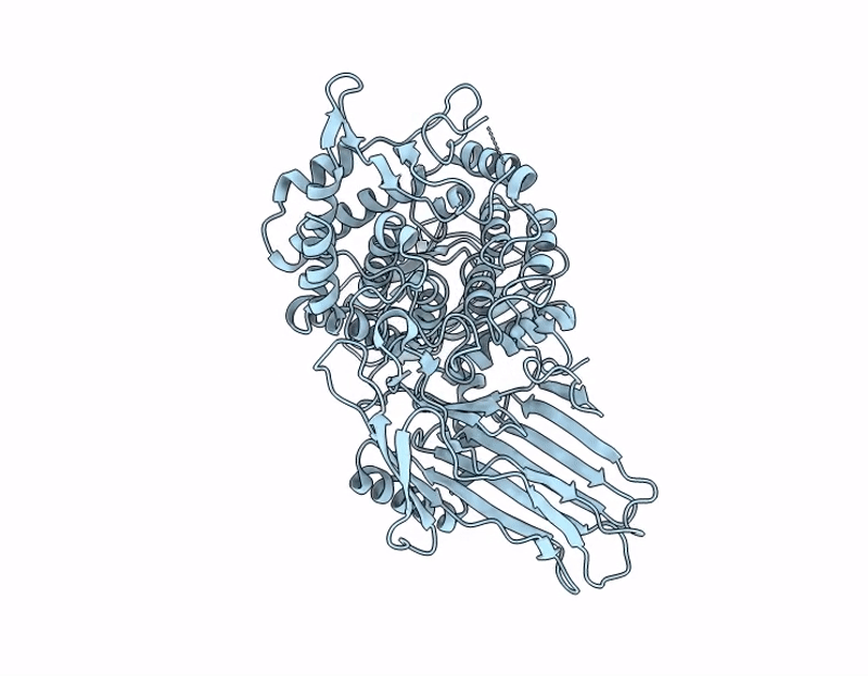 9SD4 image