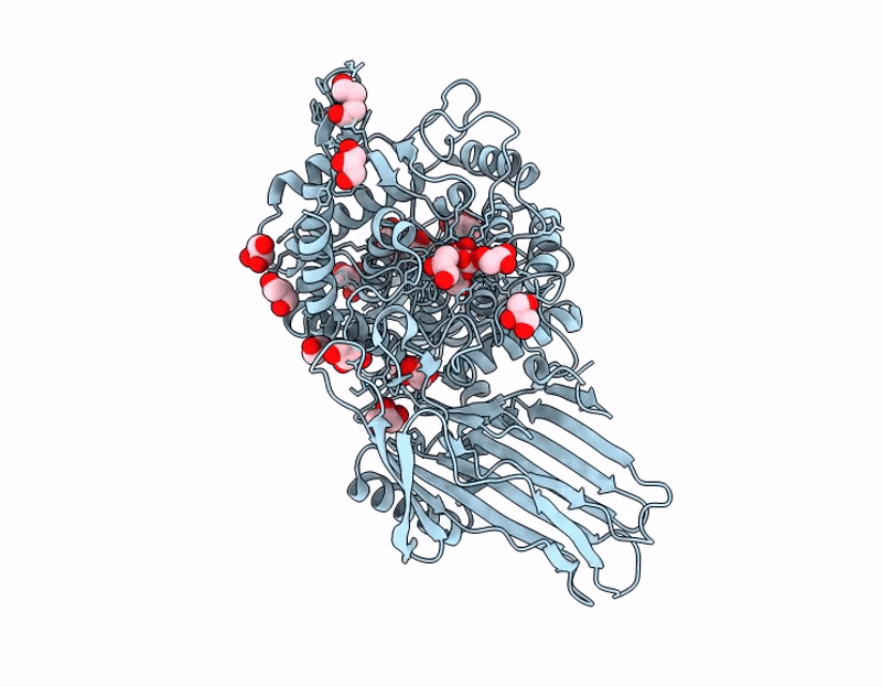 9SD5 image