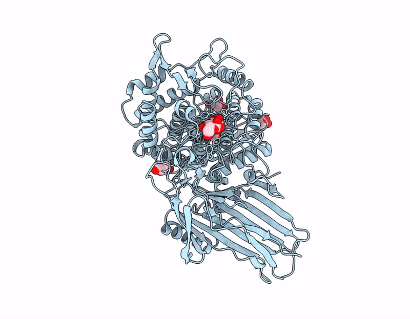 9SD6 image